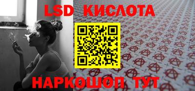 гидра Краснознаменск