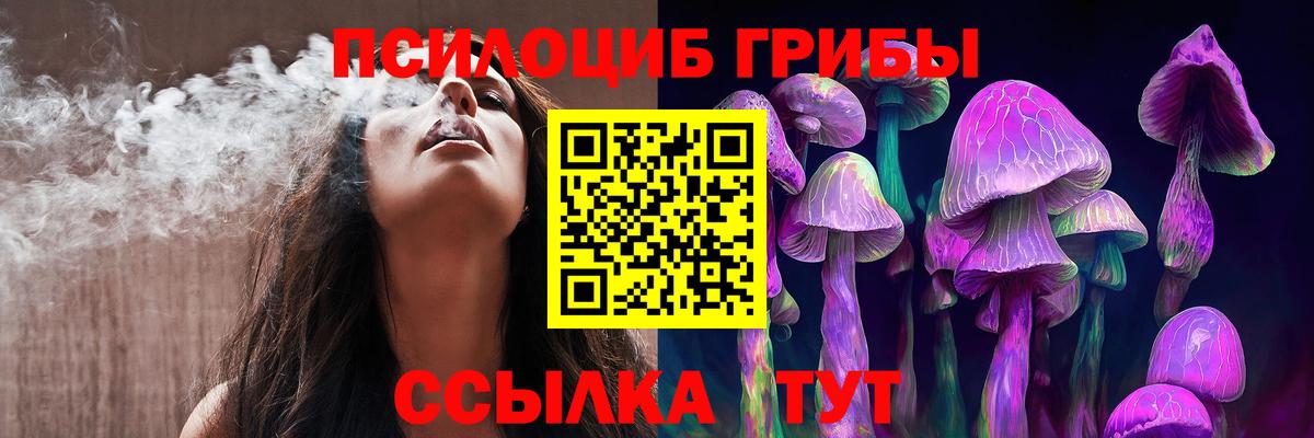 Псилоцибиновые грибы мицелий  Вход с VPN  Котовск 